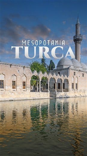 Mesopotamia Turca