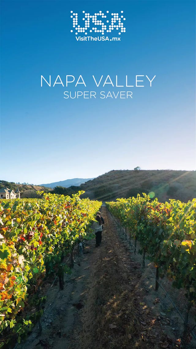 Napa Valley Super Saver